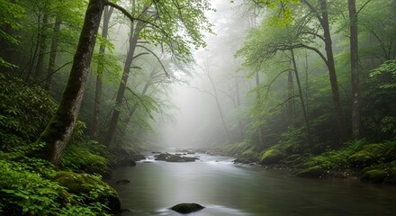 Serene forest landscape with river and trees in natural environment