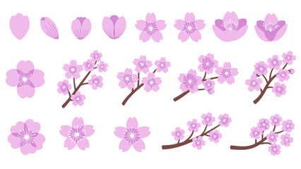multiple flower and branch variations