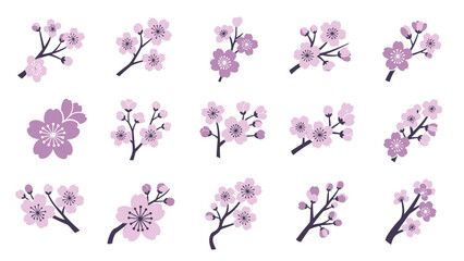 multiple flower and branch variations