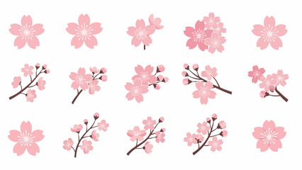 multiple flower and branch variations © Cumi Studio