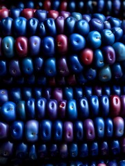 Close-Up of Vibrant Rainbow Corn Cobs with Blue, Purple and Red Kernels for Unique Food