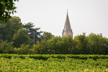 L'eglise de st Etienne church tower in the French countryside, Image shows the historic church tower through the winery fields and woodland located in Brives sur Charente