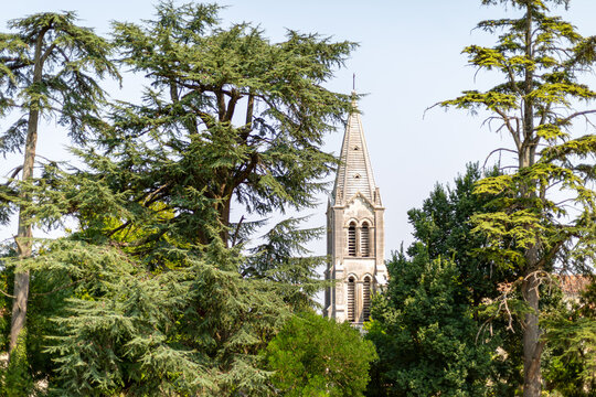 L'eglise de st Etienne church tower in the French countryside, Image shows the historic church tower through the winery fields and woodland located in Brives sur Charente