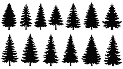 Minimalistic vector set of various evergreen fir and pine trees for nature design