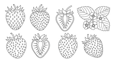 Detailed black and white line art collection of strawberries including whole fruit halves and a blooming plant for coloring pages.