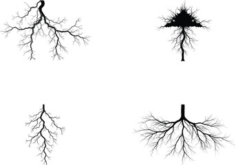 Fototapeta premium thunder silhouette on white background