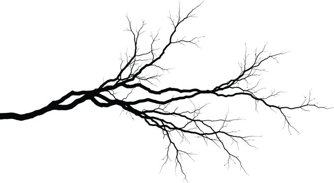 thunder silhouette on white background