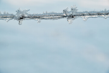 Close-up of barbed wire covered in ice