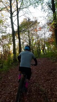 Mountain Biker Rides Through a Beautiful Autumn Forest Path with Golden Sunlight