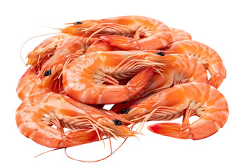 Fresh shrimp pile with vibrant orange color