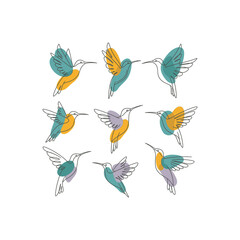 Obraz premium Group of Hummingbirds in Bright Teal and Yellow Colors.