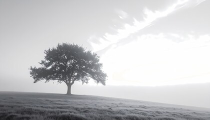 Obraz premium Solitary Tree on a Hillside in a Misty Overcast Landscape.