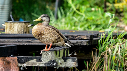 OLYMPUS DIGITAL CAMERA © Marta