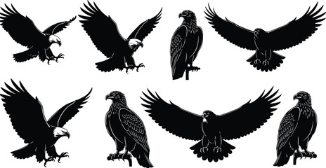 Eagle silhouette vector, black bird icons, flying and perched pose design, raptor graphic illustration, majestic wildlife symbol art