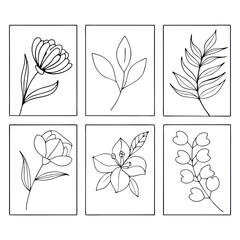 Elegant botanical line art collection of flowers and leaves, hand drawn minimalist tulip lily and foliage sketches