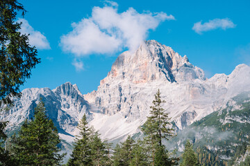 Alpine Fall Trees - Dolomites in Autumn with green yellow and orange pine trees with mountains in the background