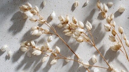 White grains arranged on a neutral surface highlight delicate texture and soft shadows in a minimalist concept.
