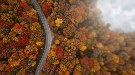 Aerial view of winding road through vibrant autumn forest with colorful fall foliage