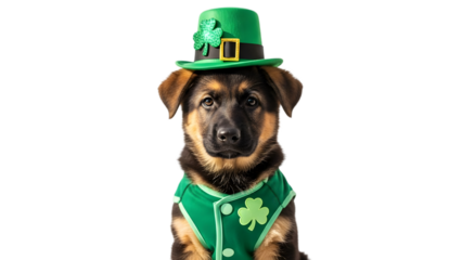 St patrick's day dog in green hat and shamrock vest isolated on transparent background