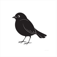 Obraz premium A black crow perched on a tree branch against a white background