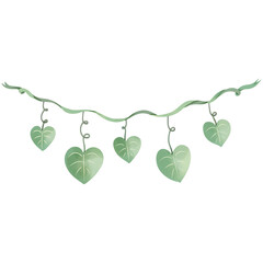 Hand-painted watercolor illustration of vines and leaves.