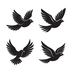 Fototapeta premium Flying Bird With Wings Spread Wide