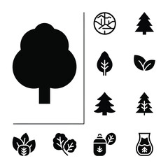 Professional nature forest tree and botanical environmental icons set in solid black style