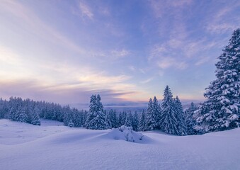 winter landscape in the mountains