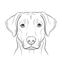 Portrait of a dog isolated on white background, illustration