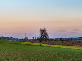 Strommasten nach Sonnenuntergang
