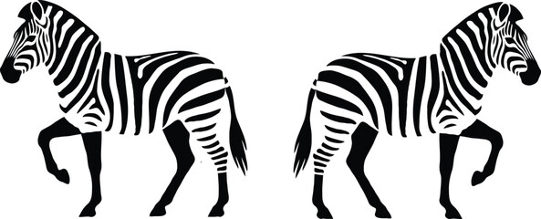 Fototapeta premium Two zebras standing side by side in a black and white illustration