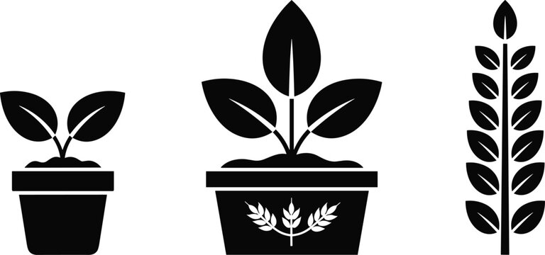 Potted plant growth silhouettes set, houseplant and seedling stages vector illustration for gardening background, minimal botanical icon design, eco nature concept