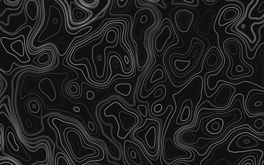 Topographic map contours vector illustration