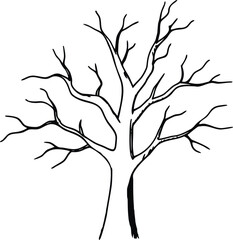 Fototapeta premium Hand Drawn Black Outline of a Bare Tree Silhouette drawing