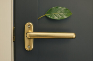 Obraz premium Close-up of a gold door handle on a dark gray door with a green leaf attached to the surface.