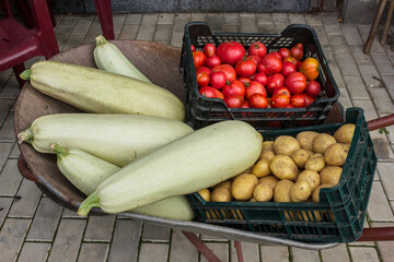 Fresh vegetables are just collected in wheelbarrow and transported to the barn