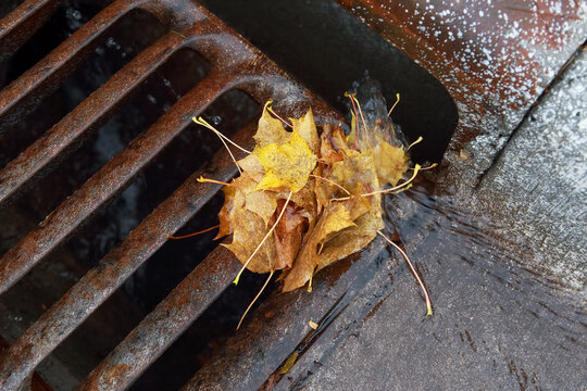 Fall leaves forming a clog in a storm sewer