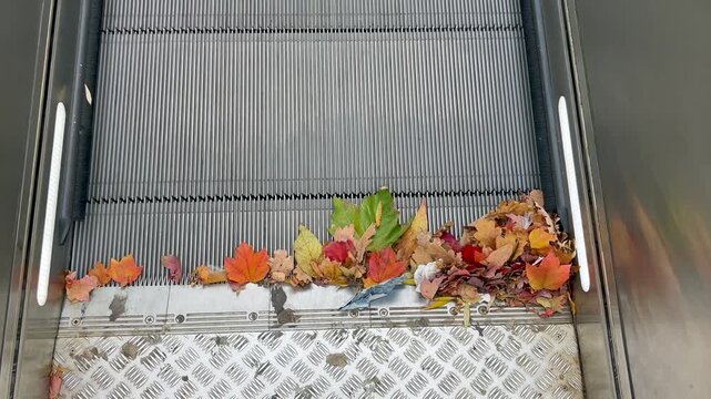 am ende einer  rolltreppe staut sich herbstliches Laub 