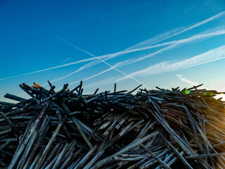 Ausgegrabene Weinbergspfähle auf einem Haufen am Abend