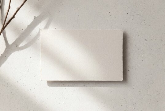 Minimal Business Card Logo Mockup with Natural Light