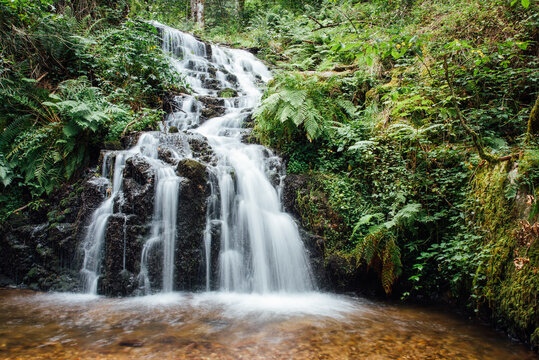 cascade de Faymont dans les Vosges. Chute d'eau dans une for&ecirc;t en &eacute;t&eacute;. 