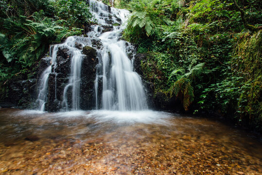 cascade de Faymont dans les Vosges. Chute d'eau dans une for&ecirc;t en &eacute;t&eacute;. 