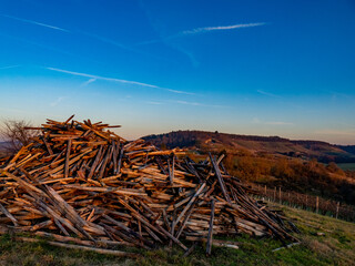 Ausgegrabene Weinbergspfähle auf einem Haufen am Abend