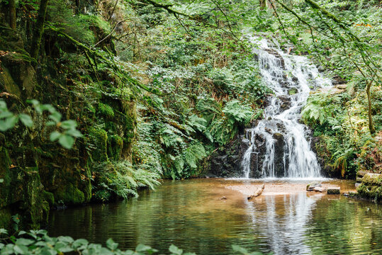 cascade de Faymont dans les Vosges. Chute d'eau dans une for&ecirc;t en &eacute;t&eacute;. 
