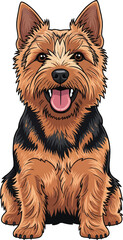 Norwich Terrier dog sitting happy panting smiling cute pose