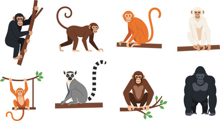 Obraz premium Monkey and primate collection featuring chimpanzee gorilla lemur and various monkeys sitting on branches for zoo education wildlife nature and animal vector design..