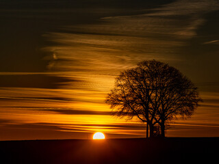 Hochsitz in einem Baum bei Sonnenuntergang