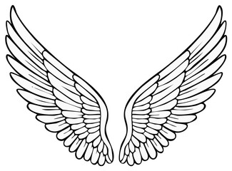 Obraz premium Symmetrical Illustration of Two Open Angel Wings With Detailed Feather Structure in Black and White
