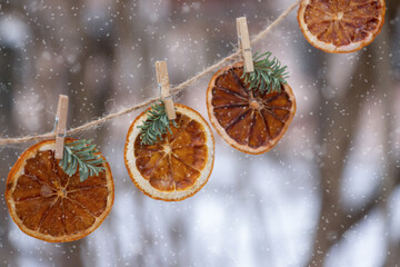 A garland of orange slices hangs in the yard. New Year.