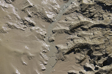 Ebbe & Flut - Ebb and Flow